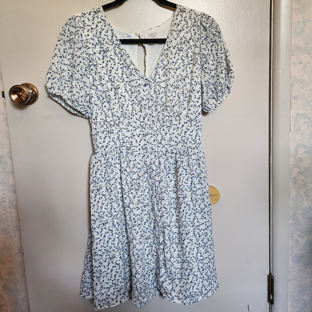 Floral White and Blue Dress